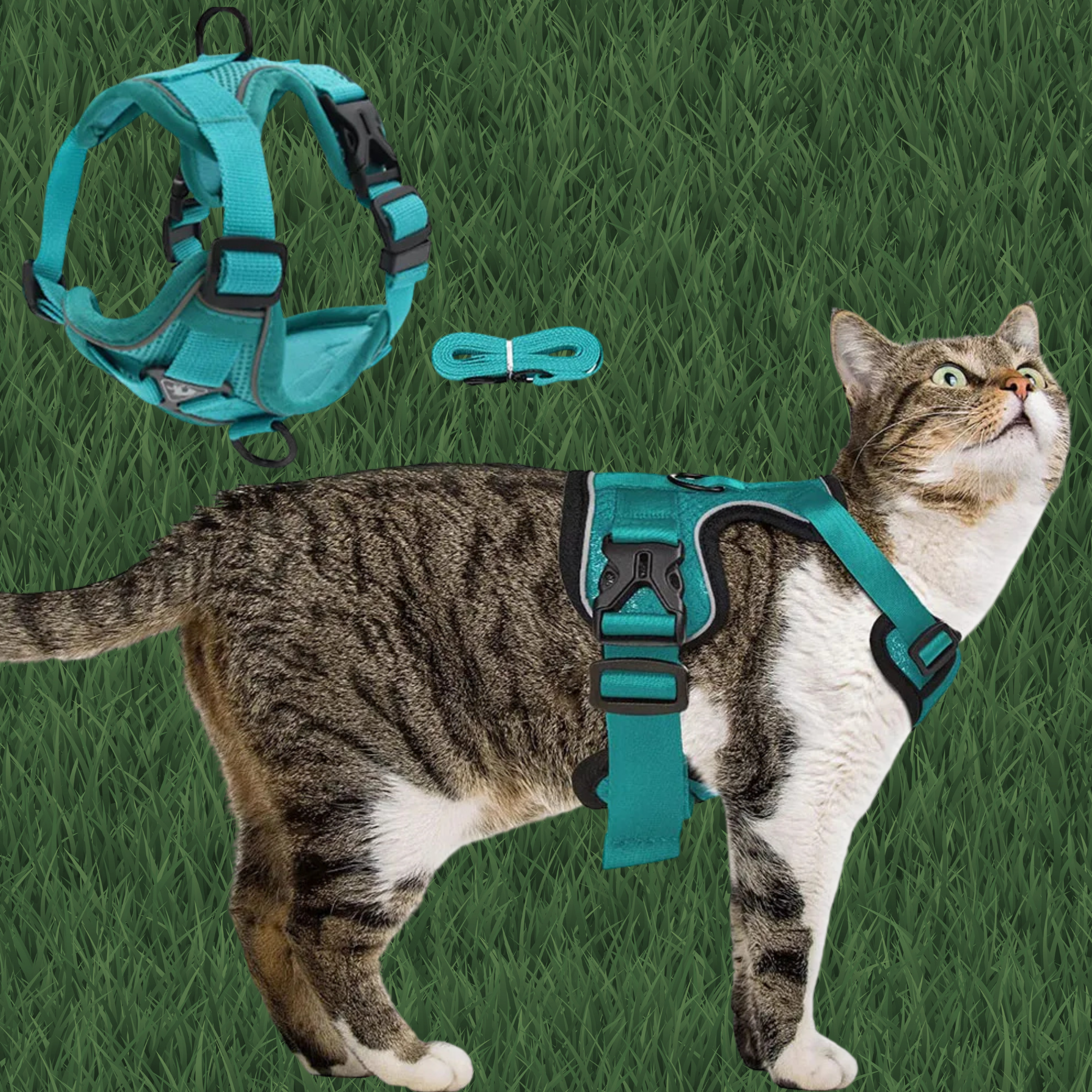 Comfy Harness