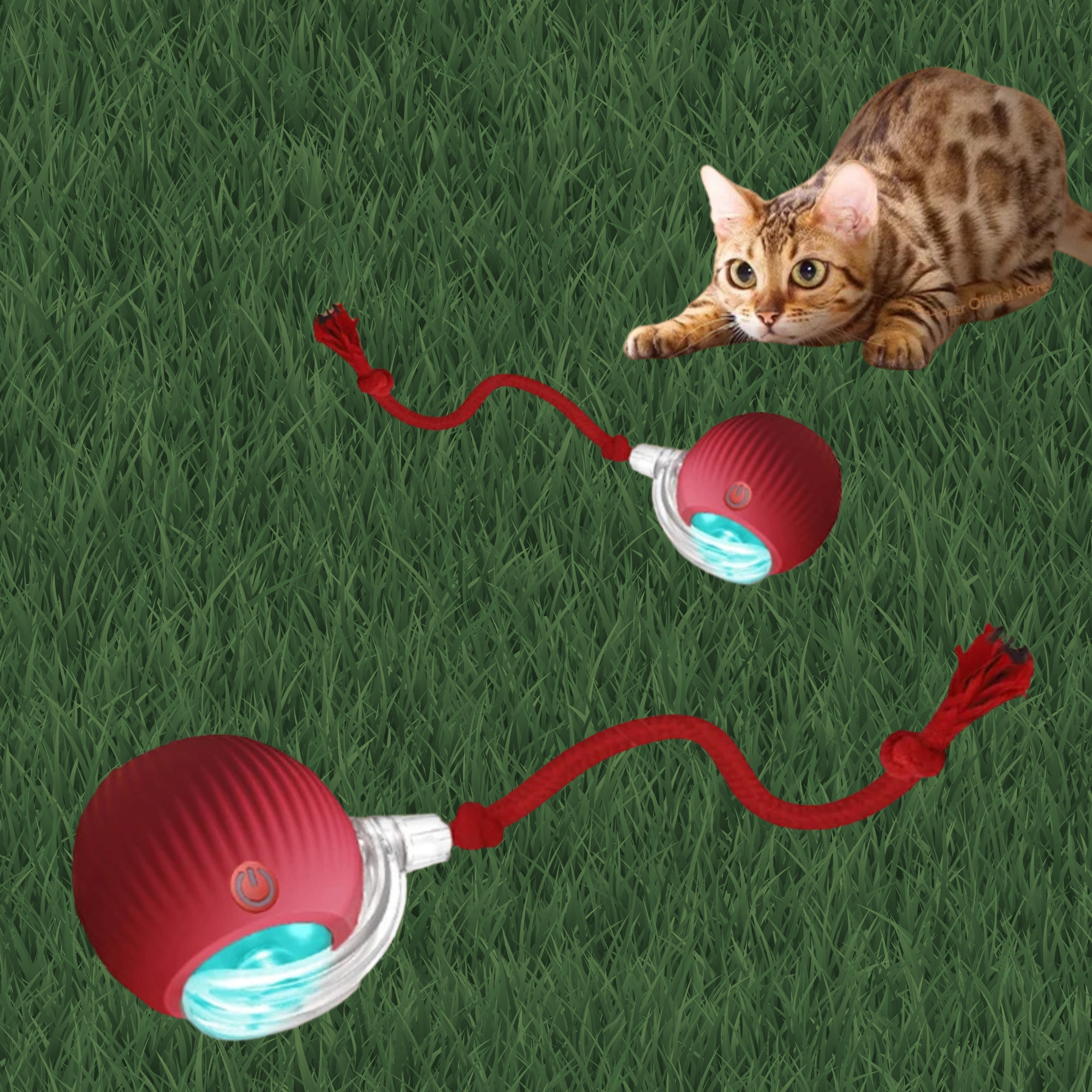 Automatic Rolling Ball