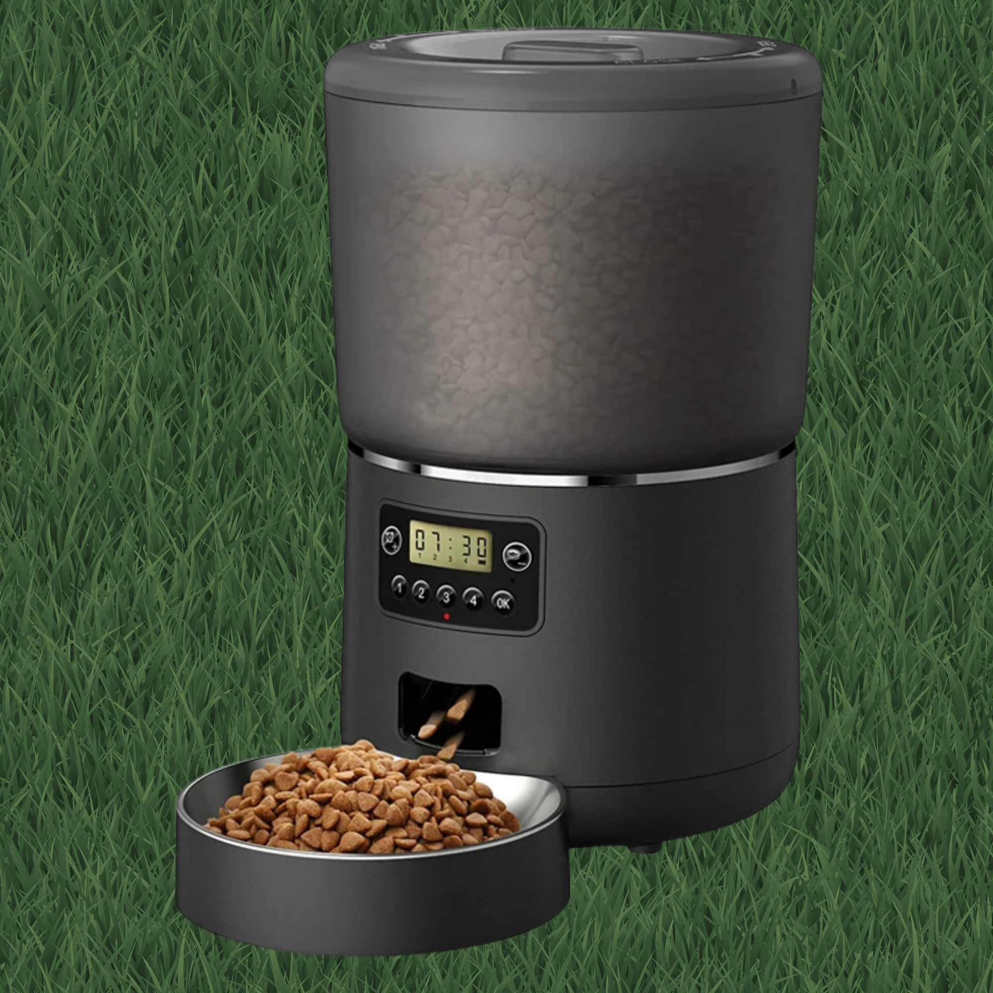 Automatic Pet Feeder