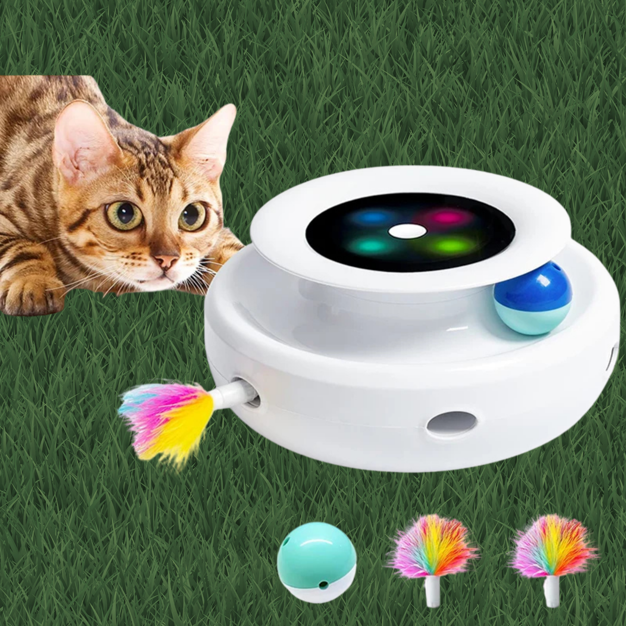ROJECO 2 in 1 Cat Toy Automatic