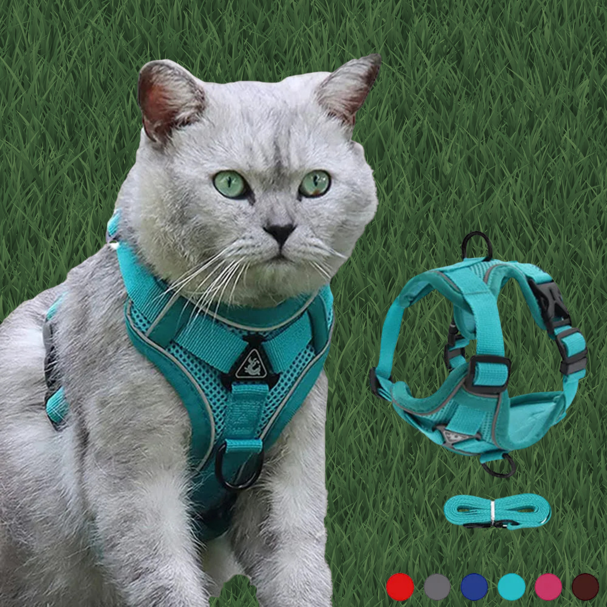 Comfy Harness