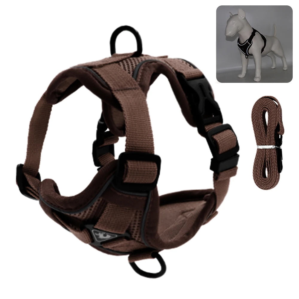 Comfy Harness