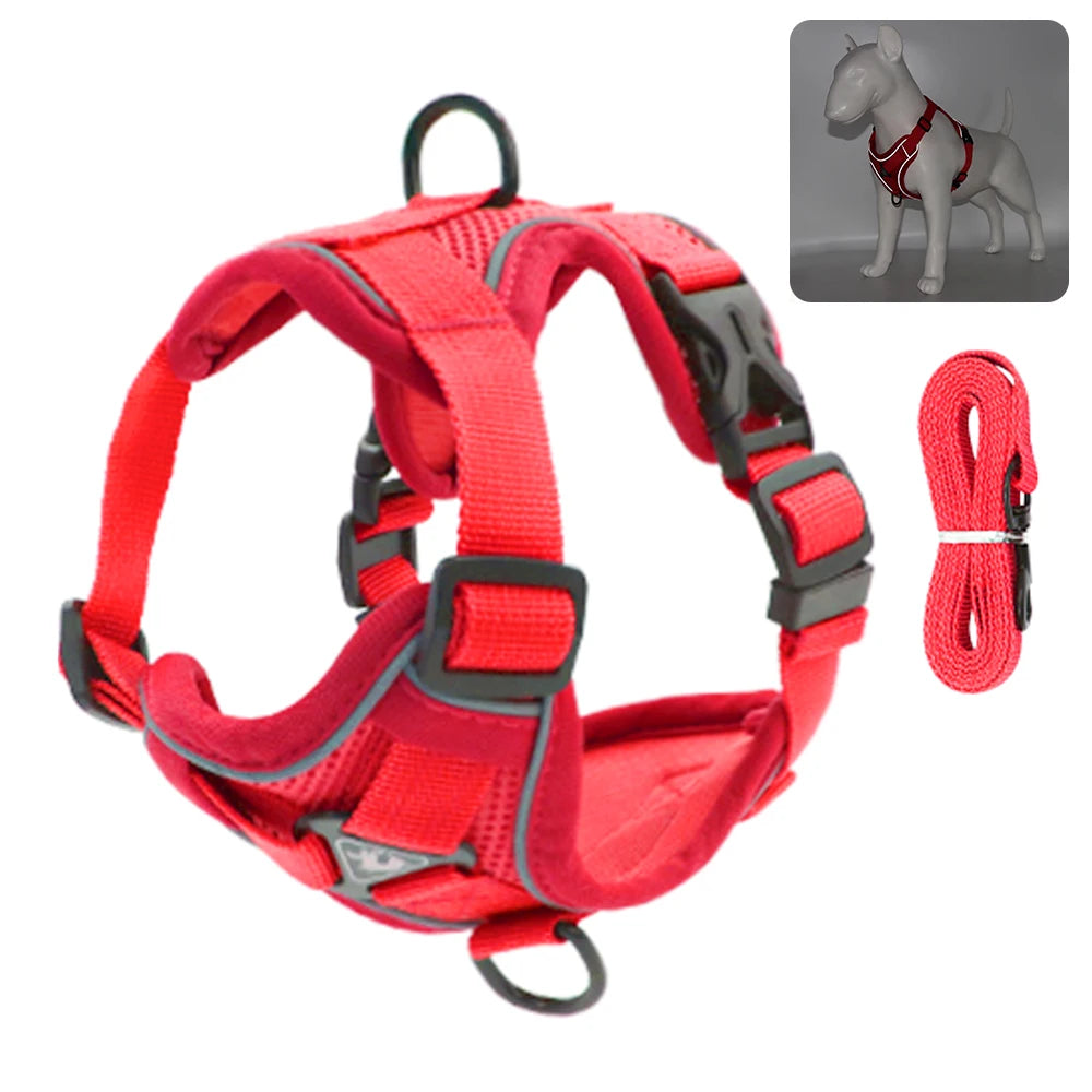 Comfy Harness