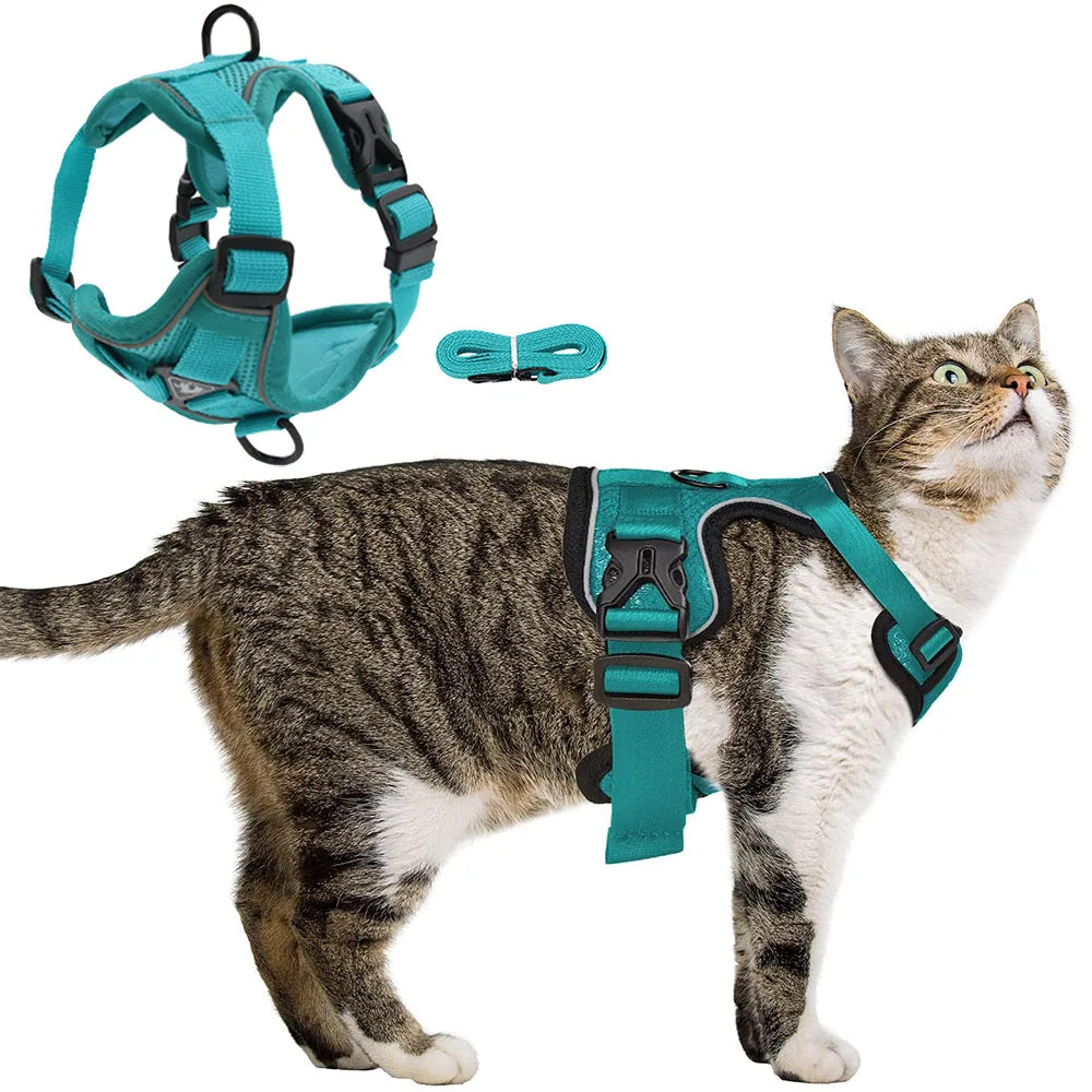 Comfy Harness
