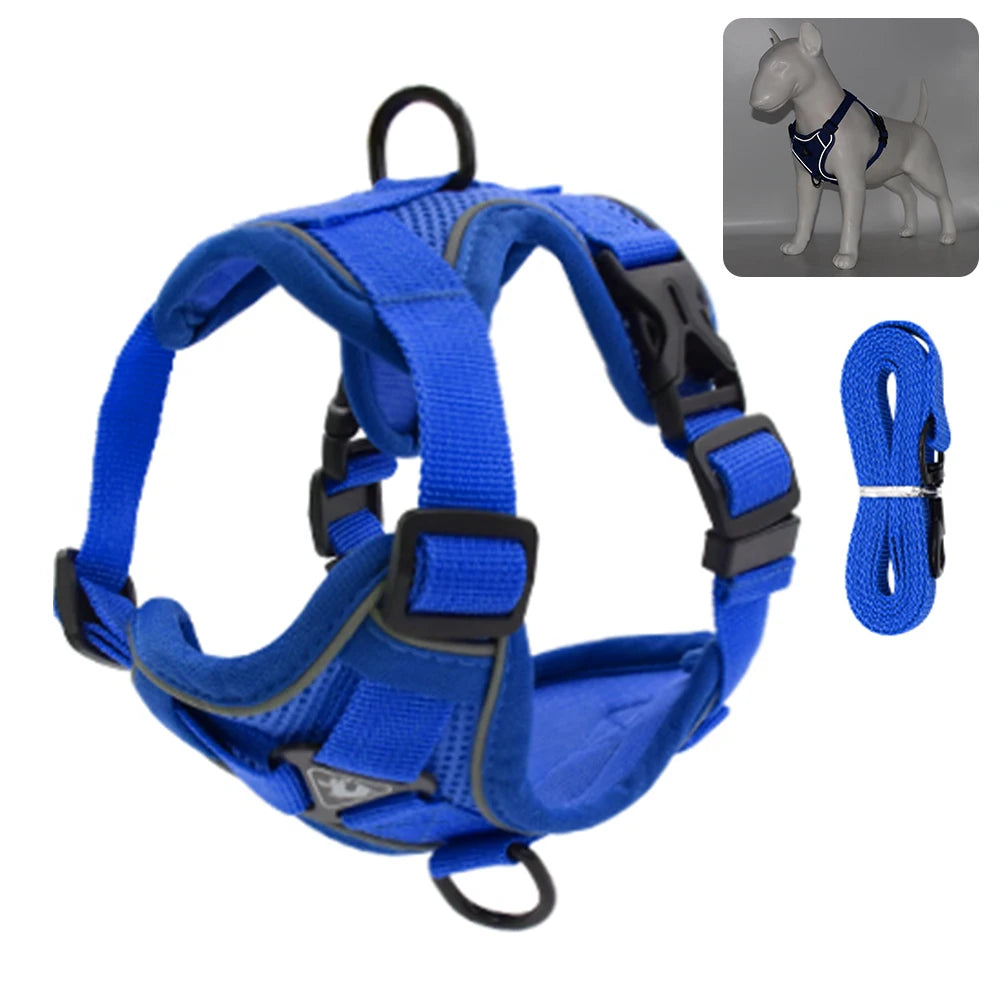 Comfy Harness