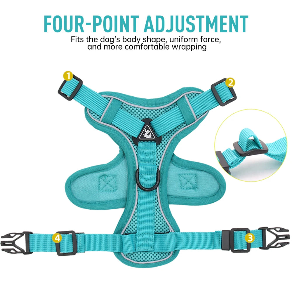 Comfy Harness