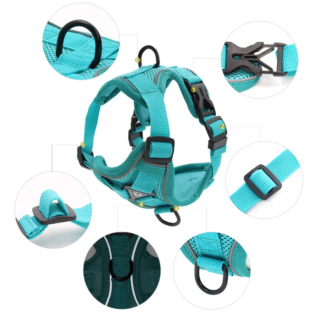 Comfy Harness
