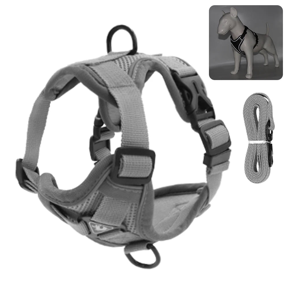Comfy Harness
