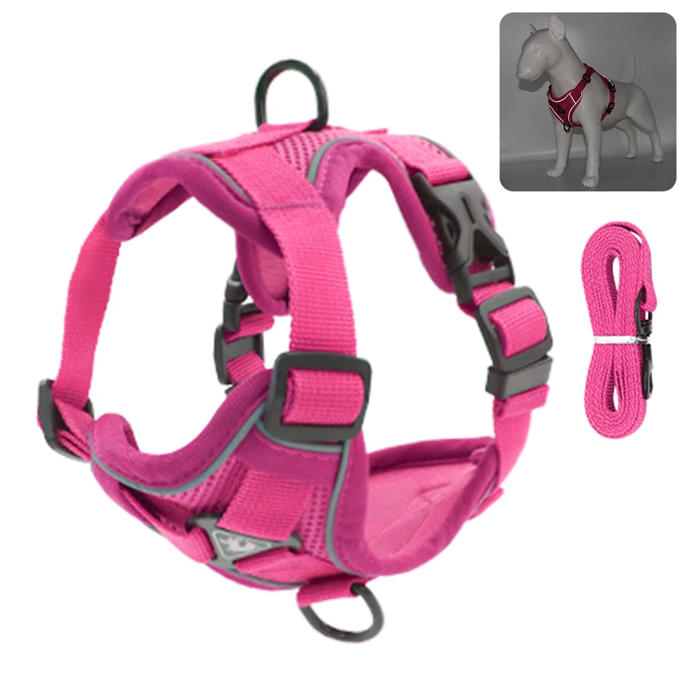 Comfy Harness