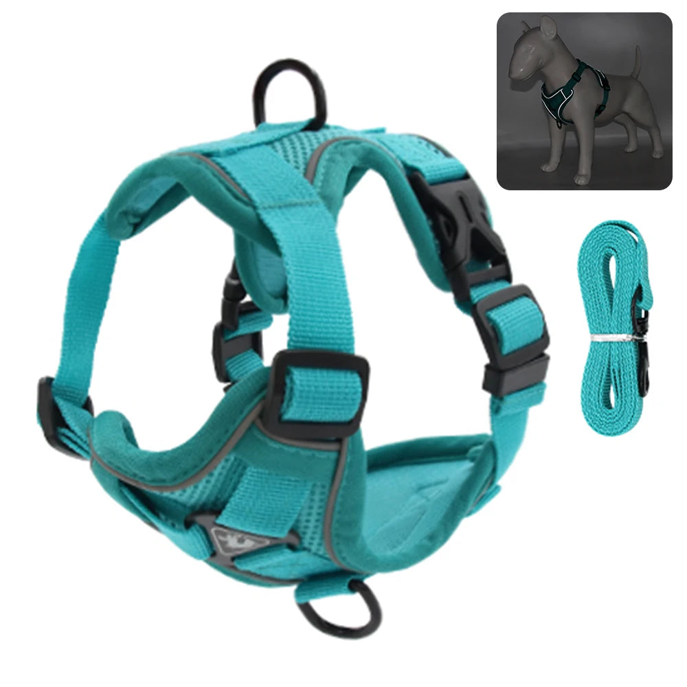 Comfy Harness