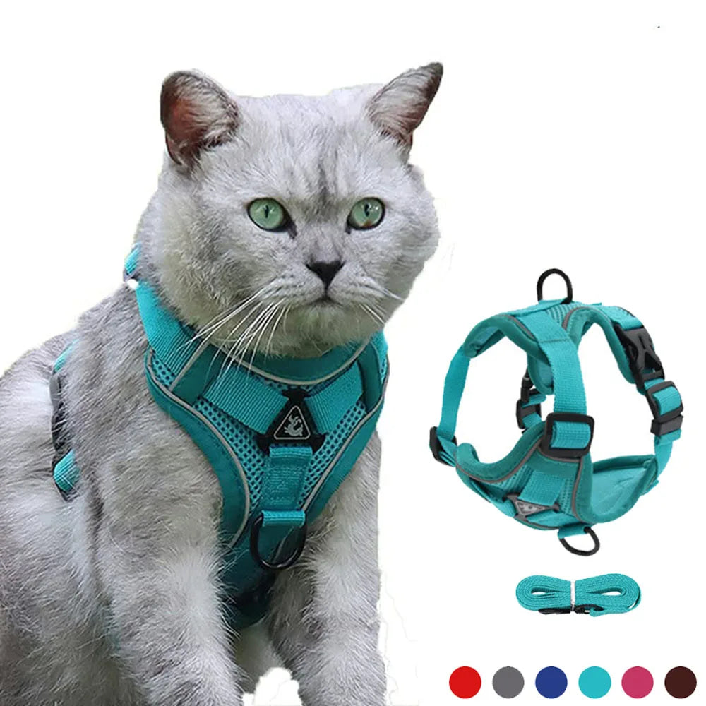 Comfy Harness