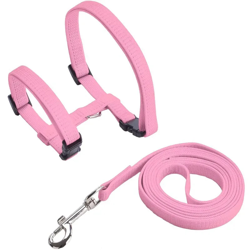 Cat Harness