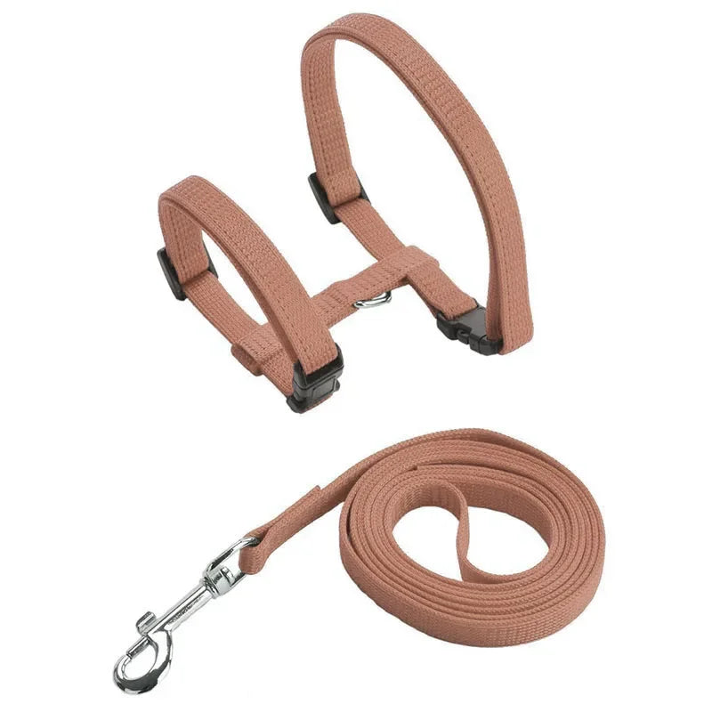 Cat Harness