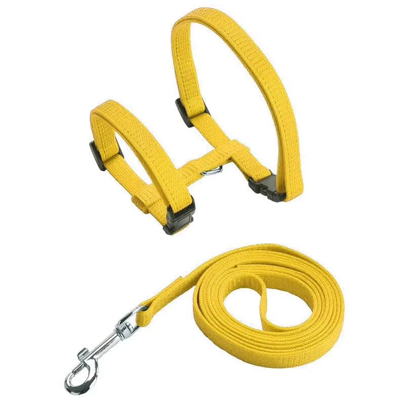 Cat Harness