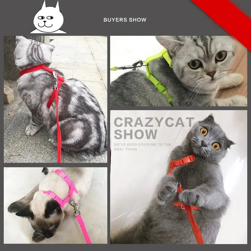 Cat Harness