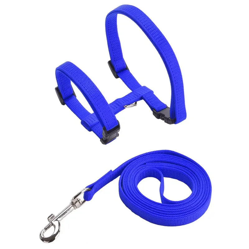 Cat Harness