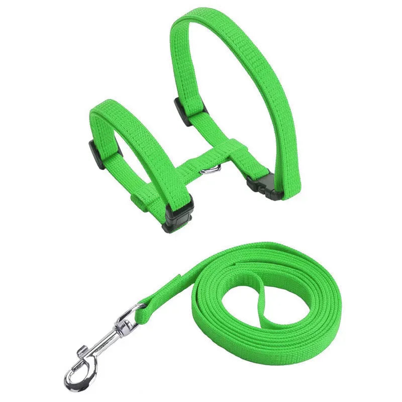 Cat Harness