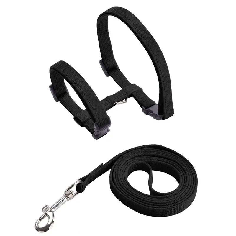 Cat Harness