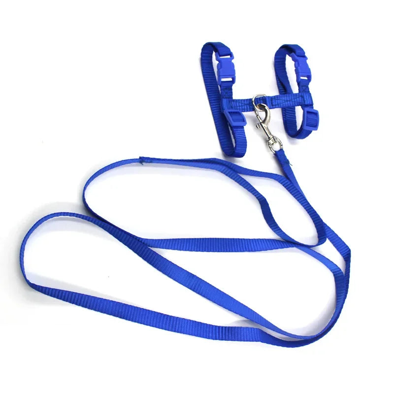 Cat Harness