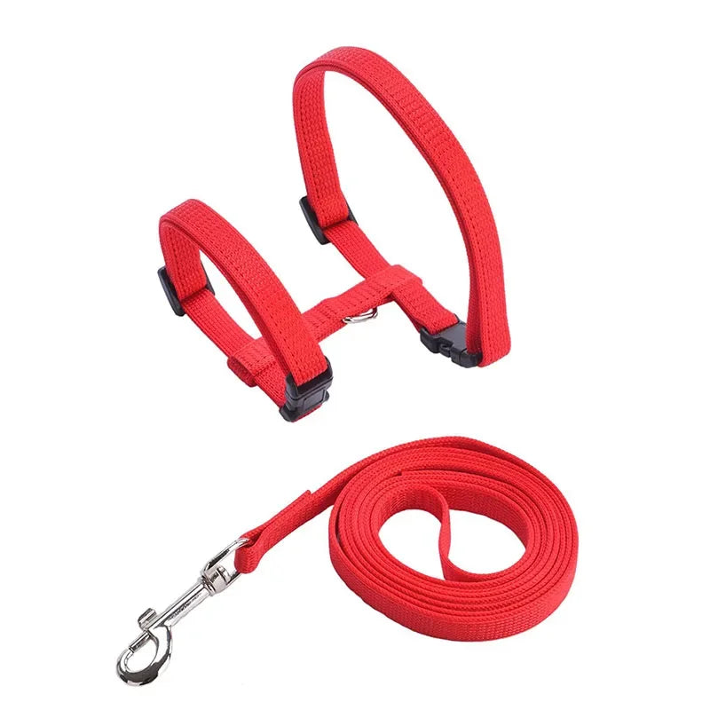 Cat Harness