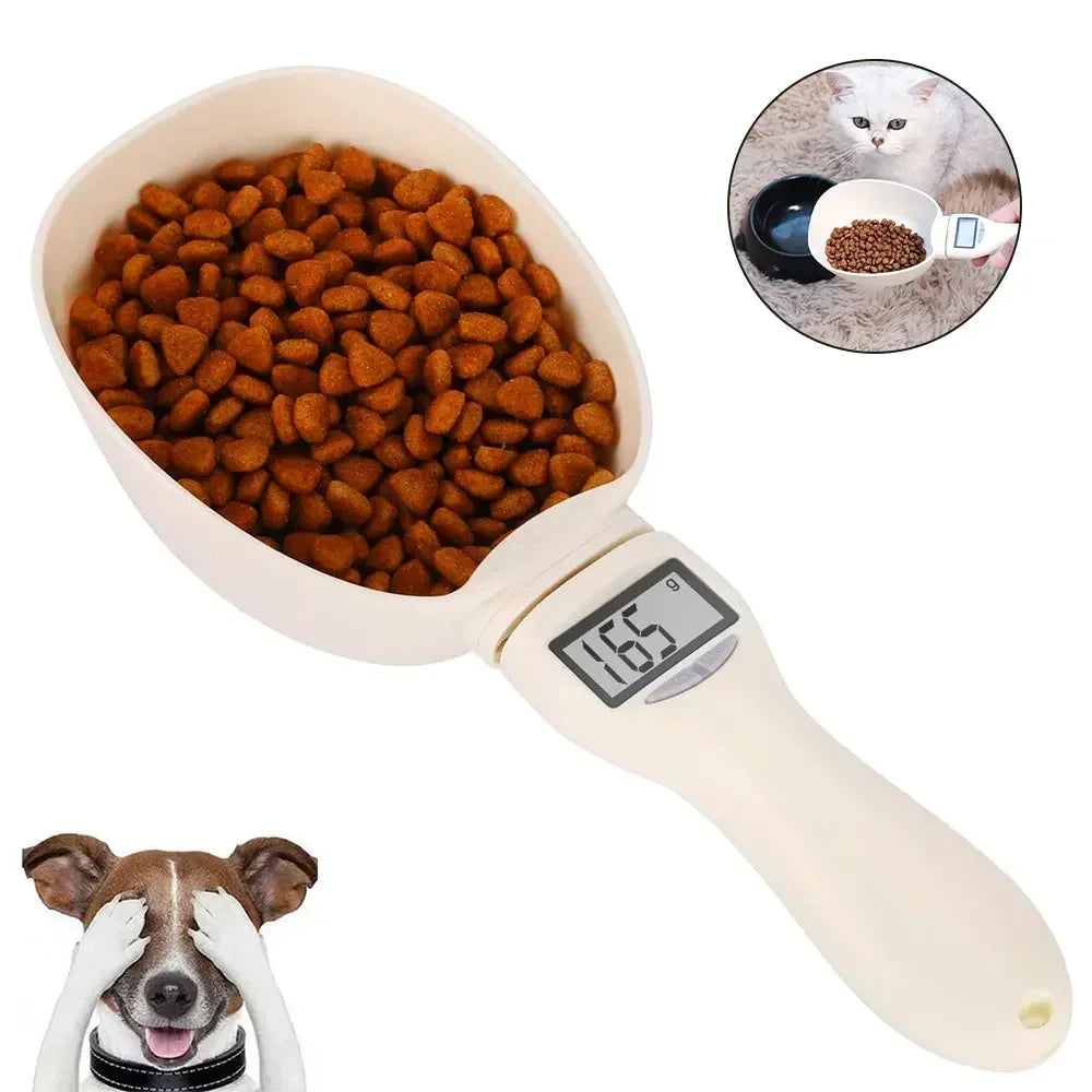 Measuring Scoop
