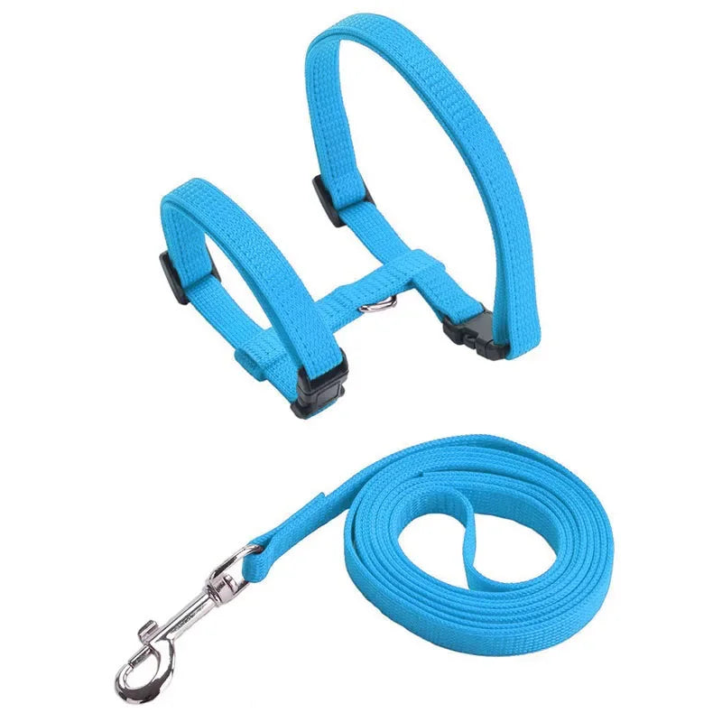 Cat Harness