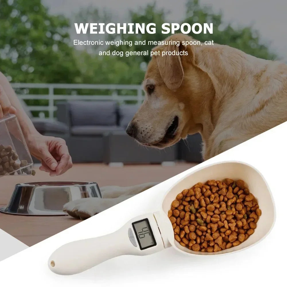 Measuring Scoop