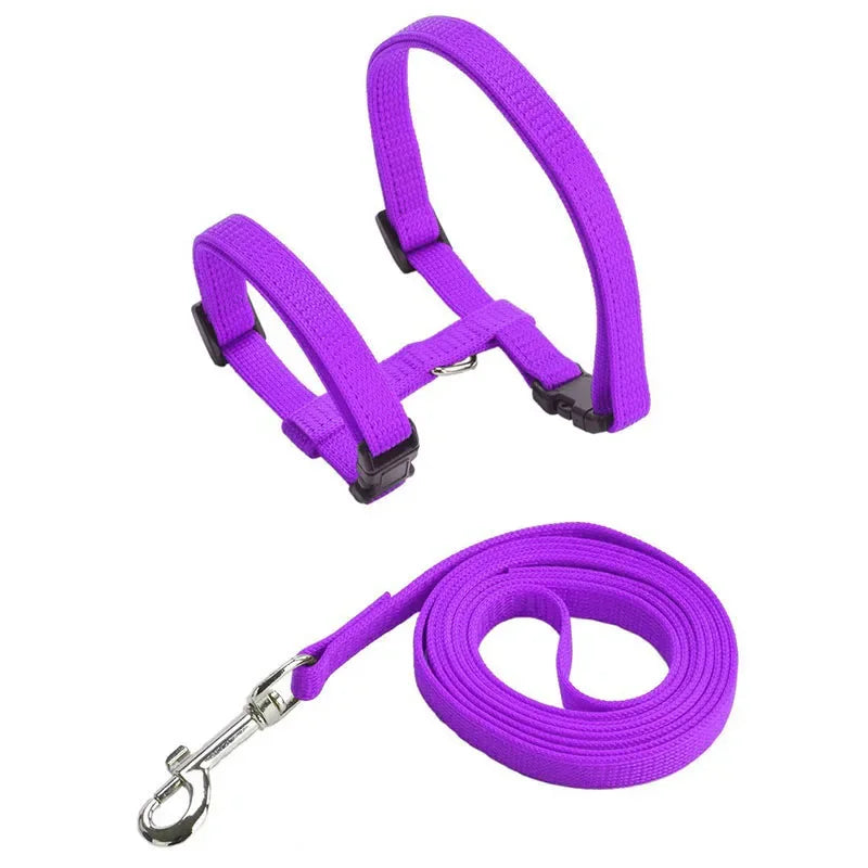 Cat Harness