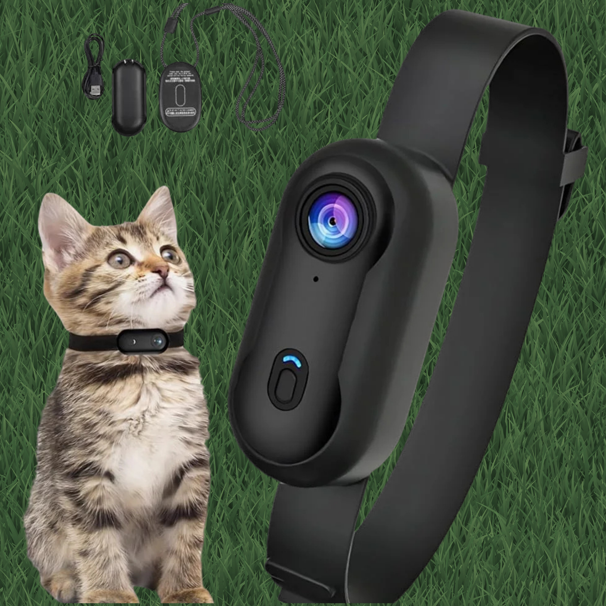 Pet Collar Cam 4K