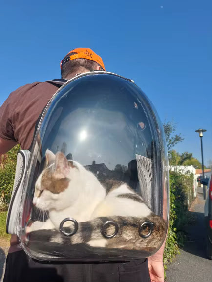 HouseOfCats