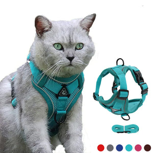 Cat Harness