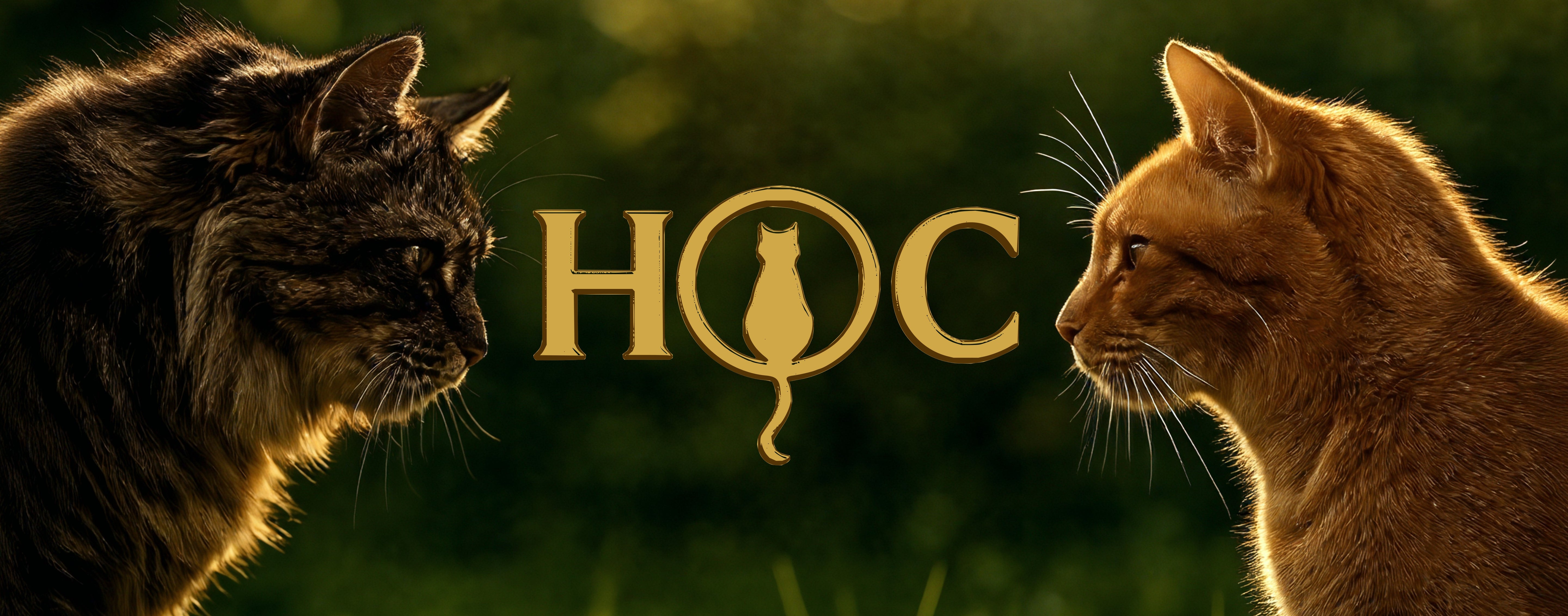 HouseOfCats