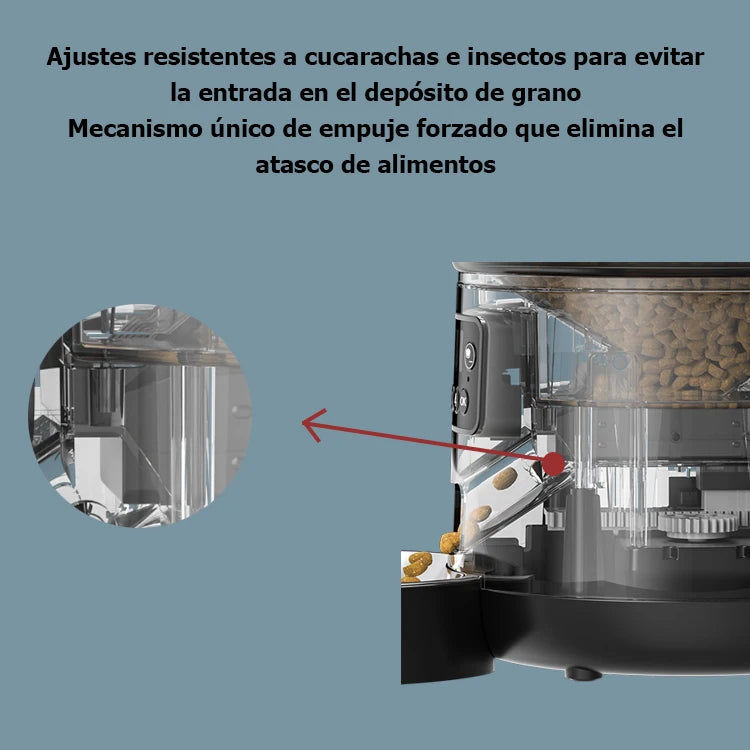 Automatic Pet Feeder