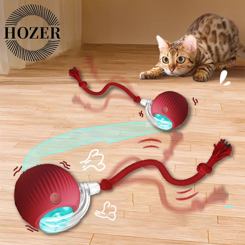 HouseOfCats