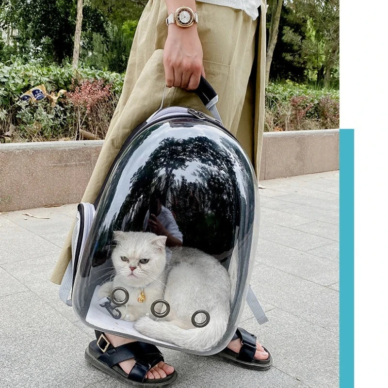 HouseOfCats
