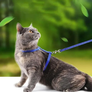 Cat Harness