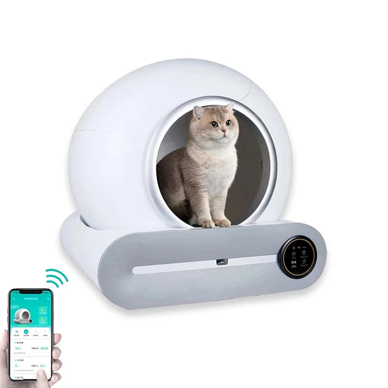 HouseOfCats