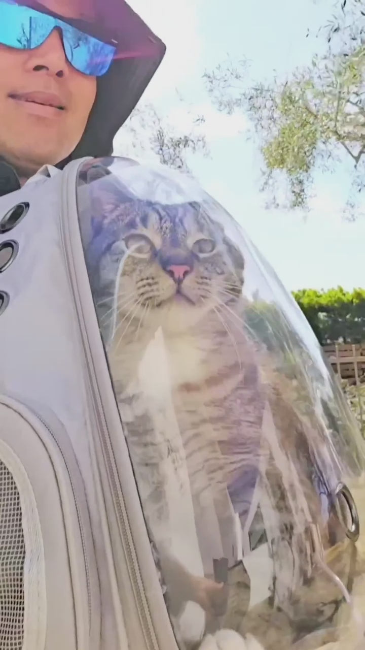HouseOfCats