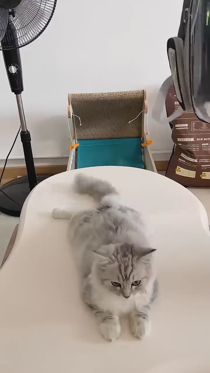 HouseOfCats